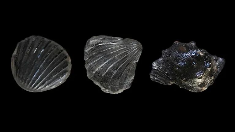 中科院開(kāi)發(fā)出可生物降解的玻璃